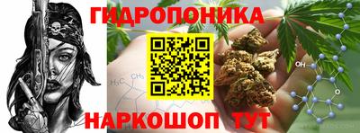 PSILOCYBIN Славгород
