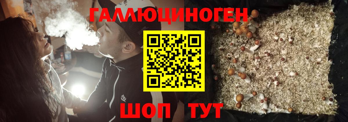 Галлюциногенные грибы мухоморы  Вход с VPN  Новороссийск  Псилоцибиновые грибы мухоморы 